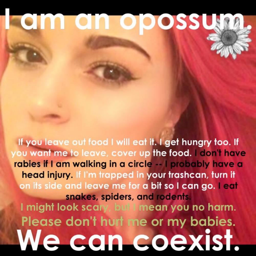 Meet your Posher, Janet